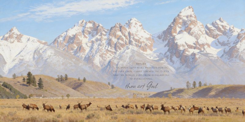 Jackson Elk Herd