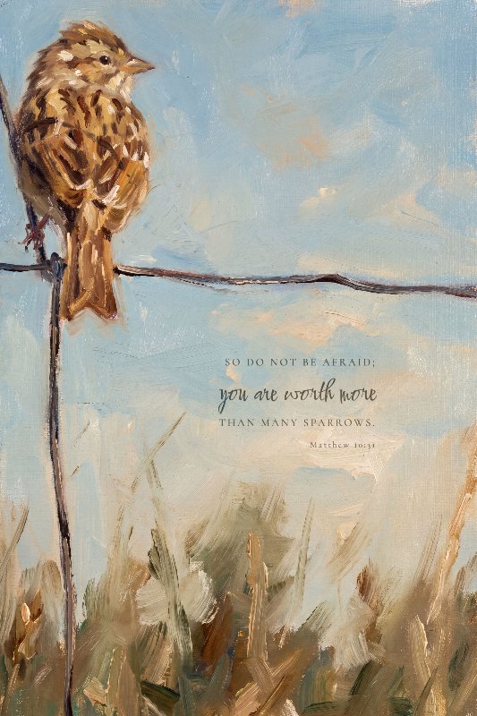 Sparrow On Wire