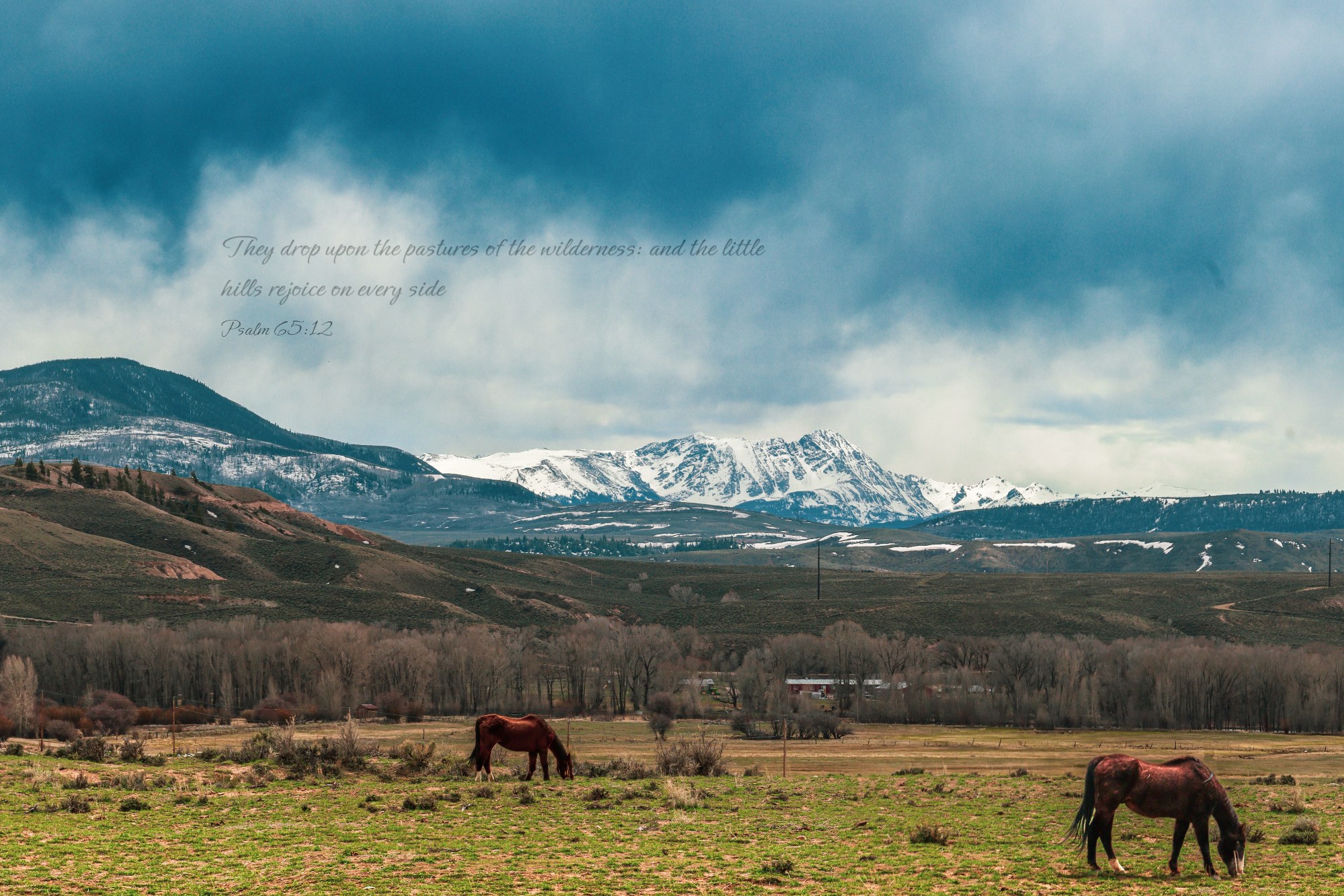 The Hills Rejoice · Psalm 65:12 · On the photograph (Presence)