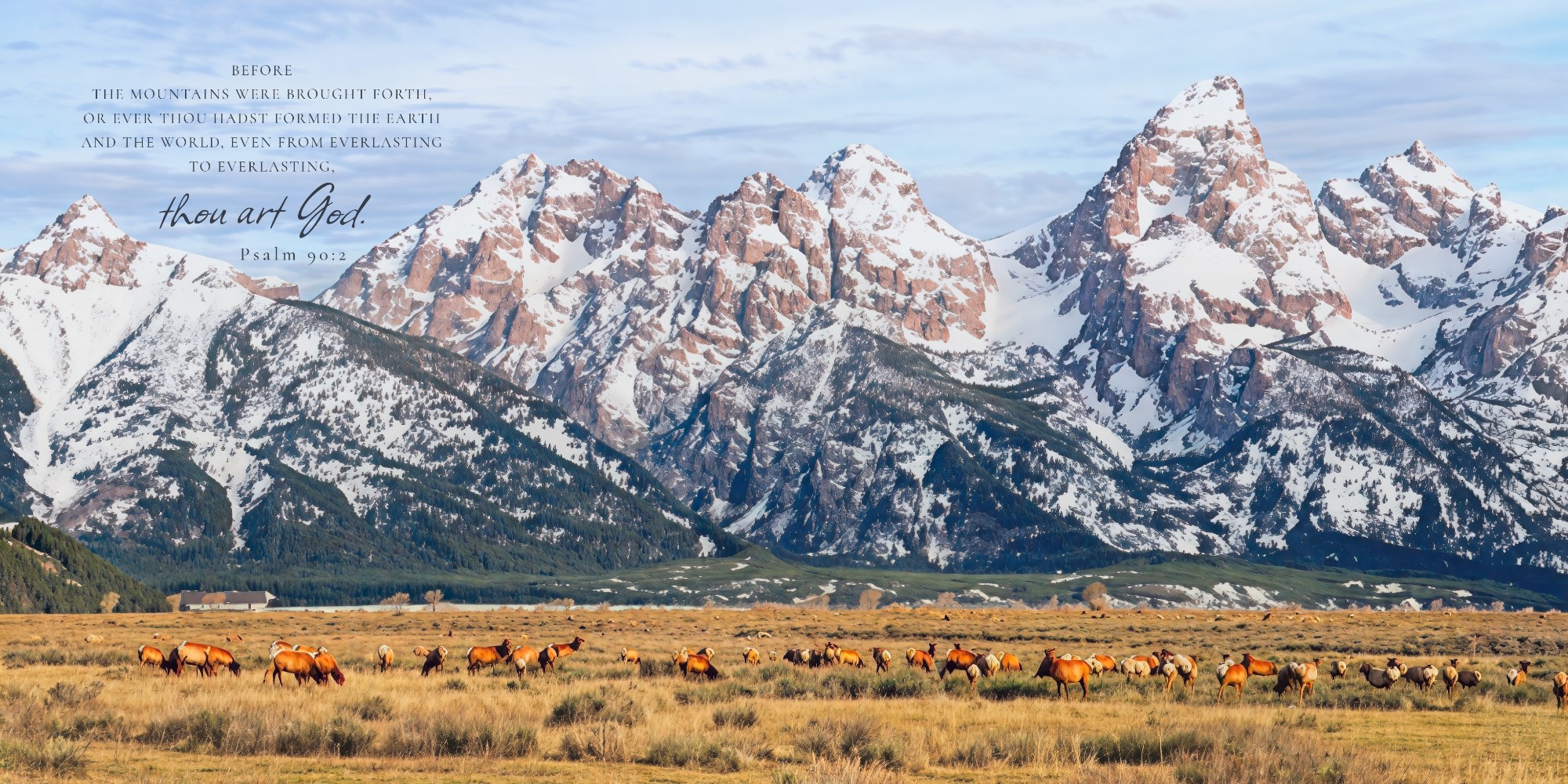 From Everlasting to Everlasting · Psalm 90:2 · On the photograph (Jackson Elk Herd)