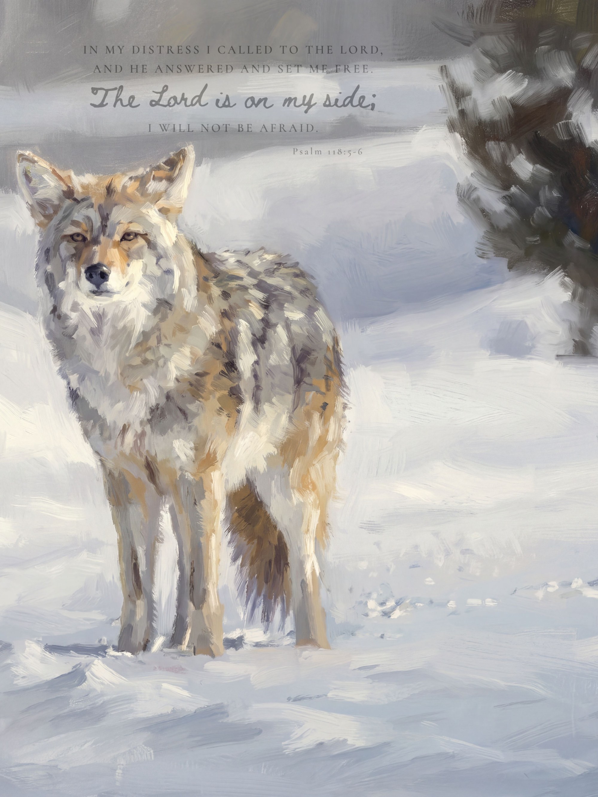 I Will Not Fear · Psalm 118:5-6 (Winter Beauty)