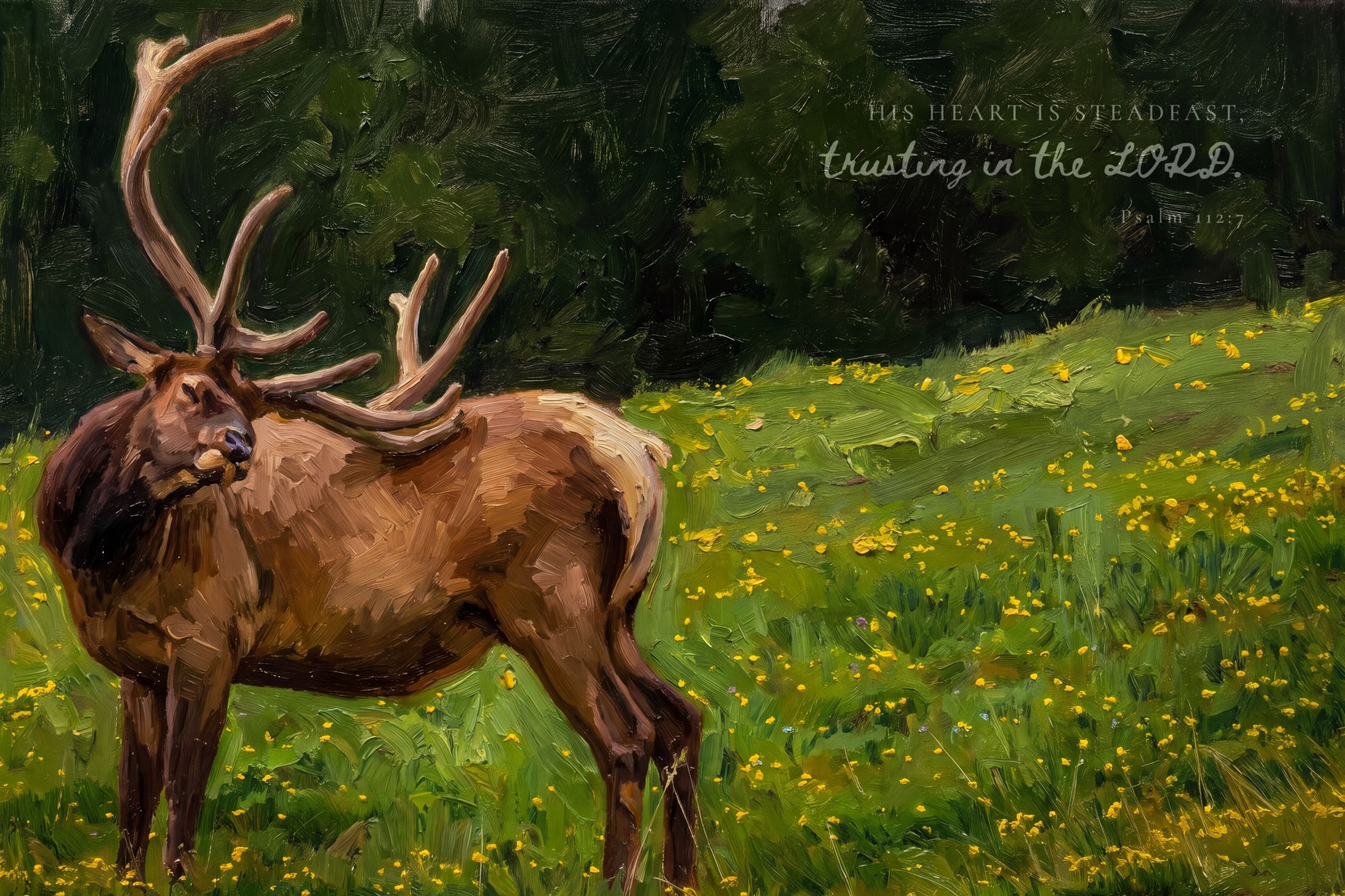 Bull Elk In Summer Grass · Psalm 112:7