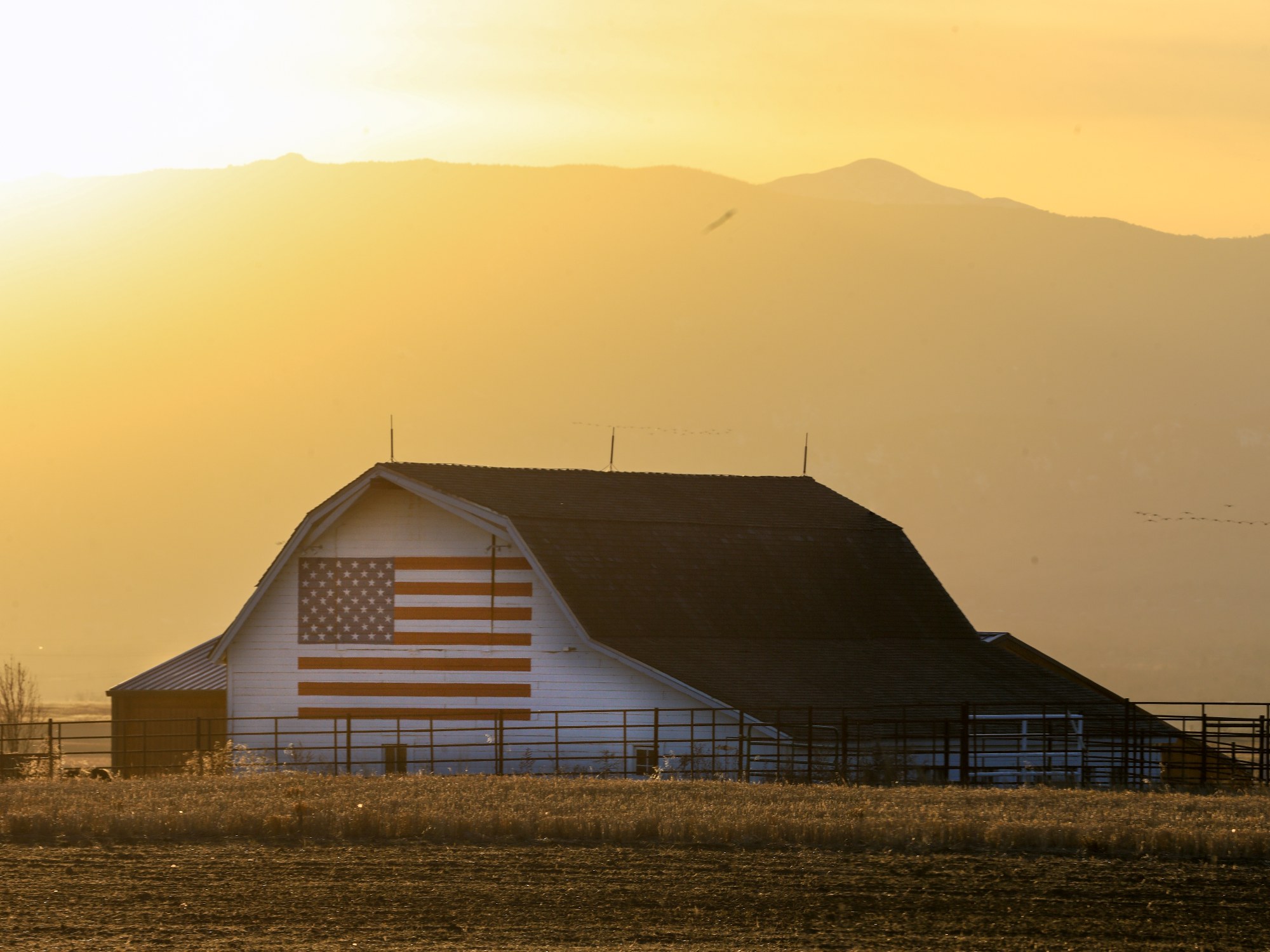 American Barn